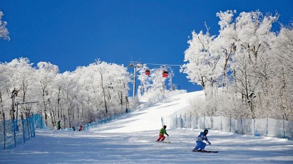 雪季早鸟限量速囤！买长白山的好时候！长白山万达度假区9店2晚连住套餐（含雪季权益）