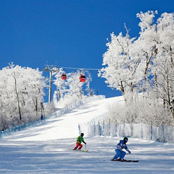 雪季早鸟限量速囤！买长白山的好时候！长白山万达度假区9店2晚连住套餐（含雪季权益）