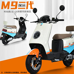 SYUAN 深远 M9二代都市版电动车 M9二代都市版/1700W/48v45码 裸车/只发广东省/无电池礼品