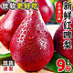 陕西大荔红啤梨 （1斤3~4个）9斤箱
