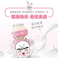 werdery 味动力 青幽爽益生菌乳酸菌饮品原味100ml*20