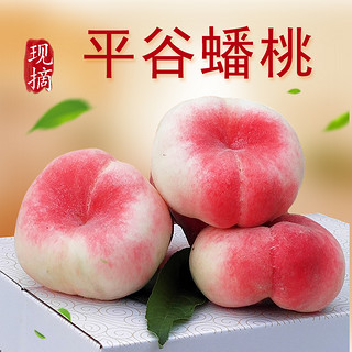 绿养道北京平谷蟠桃5斤/1斤扁桃子鲜桃水蜜桃新鲜水果10