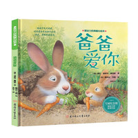 爱动力经典暖心绘本 国际大师获奖作品 精装硬壳2-3-6岁宝宝睡前故事书绘本 给孩子充足的爱正版图书 爸爸爱你