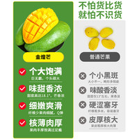 树上熟精品金煌芒10斤芒果新鲜当季水果大果水仙甜心青芒整箱包邮