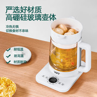 XIONGSHIDA 熊事达 养生壶多功能迷你家用玻璃煮茶器新款办公室花茶保温小水壶