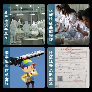 BECK 公羊 羊排羊肉新鲜宁夏盐池滩羊肉整只手抓甘肃靖远羊羔肉肋排羊腿烧烤