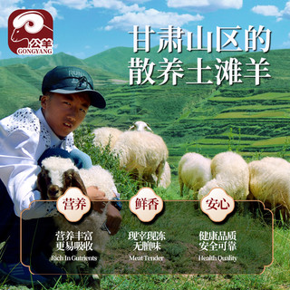BECK 公羊 羊排羊肉新鲜宁夏盐池滩羊肉整只手抓甘肃靖远羊羔肉肋排羊腿烧烤