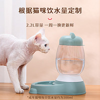 Hoopet 猫碗食盆猫粮自动喂食器饮水机宠物狗碗狗盆水碗猫咪饭碗喝水饭盆  3.8L