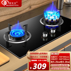MEIJUEHAOTAITAI 美珏好太太 5.2KW九腔鸳鸯猛火燃气灶家用台嵌两用双灶加厚玻璃面板B5