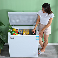 CHIGO 志高 一级节能小冰柜家用全冷冻小型迷你省电保鲜冷藏冷冻两用冷柜