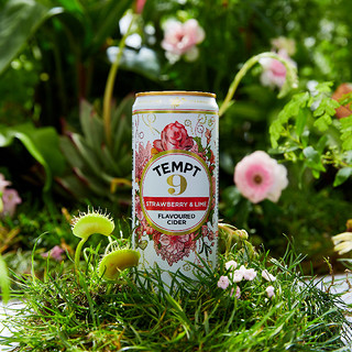 TEMPT果酒气泡甜酒微醺低度诱惑9号草莓橙味330ml