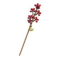 JAKI 佳奇 植物日志系列 JK2636 冬青果
