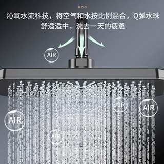 JunQuan 君泉 淋浴花洒套装 格调黑三挡