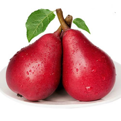 陕西红啤梨 1斤装  3-4个/斤