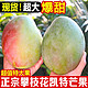 攀枝花凯特芒果4.8斤单果500g起当季新鲜水果芒果直发包邮