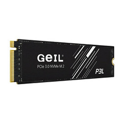 GeIL 金邦 P3L NVMe M.2 固态硬盘 4TB （PCI-E3.0）