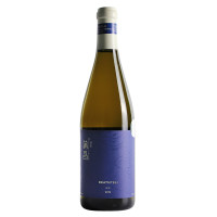 蒲昌白羽干白葡萄酒 750ml 2019年 单瓶