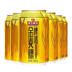 PEARL RIVER 珠江啤酒 10度 珠江金麦穗啤酒 330ml*6听