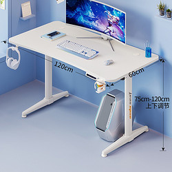 andaseaT安德斯特电脑桌游戏桌台式办公书桌子 寒冰战士白色电动升降1.2米