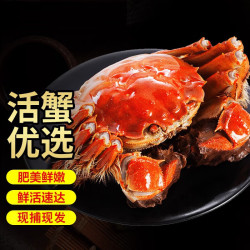 太湖 六月黄大闸蟹 现货1.7-2.2两 8只礼盒装 包黄包活
