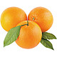 广西夏橙 中果9斤（单果65mm+）