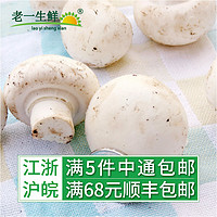 老一生鲜 口蘑 新鲜食用菌 鲜白蘑菇 口菇 双孢菇 近一斤