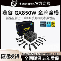 Segotep 鑫谷 COLORFUL 七彩虹 Segotep 鑫谷 GX850W 金牌全模组 ATX3.0 电源