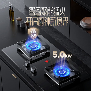 Letv 乐视 煤气灶双灶具大火力嵌入式一级能效聚能防风4.5KW+红点防烫（液化气）