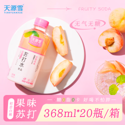 SKYRAIN 天源雪 TIANYUANXUE天源雪 苏打水饮料  368ml*20瓶