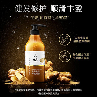 六神 生姜洗护2件套(洗发水750ml+润发乳750ml+洗发200ml)