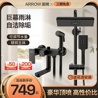 ARROW 箭牌卫浴 全铜淋浴花洒套装