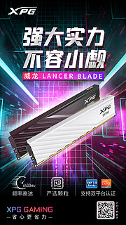 ADATA 威刚 DDR5 16G/32G 6000 6400台式电脑内存条 XPG威龙系列