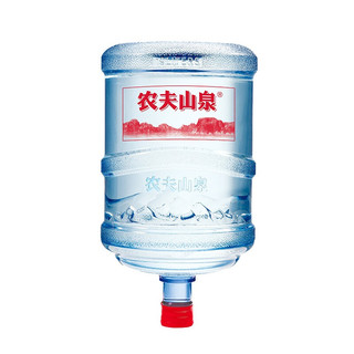 农夫山泉 NONGFU SPRING 天然19L 大桶装桶装水饮用水 家庭订水配送服务 全国个别地区无法配送 没有空桶需缴纳押金 农夫山泉 NONGFU SPRING 19L×2桶