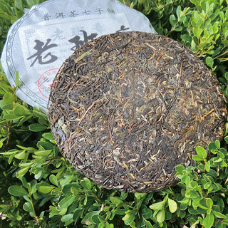 花小茵 老班章 普洱 茶饼 357g