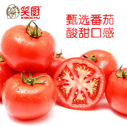 XIAOCHU 笑厨 新疆番茄酱300g 配料番茄酱（鲜番茄）0添加剂意面薯条调味酱
