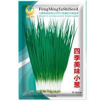 凤鸣雅世 四季小葱种子种籽阳台庭院室内盆栽蔬菜籽四季美味小葱种子20克