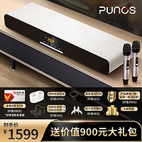 Punos PS-28  家庭ktv音响