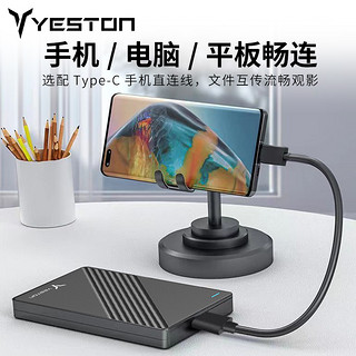 yeston 盈通 移动固态硬盘