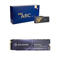 intel 英特尔 Arc锐炫 A750限量版 独立显卡 8GB+SOLIDIGM P44 Pro NVMe M.2 SSD固态硬盘 1TB套装