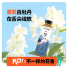 陈坤代言款KELLYONE一茶乌龙茉莉白牡丹0糖0脂0能量茶饮料4瓶装