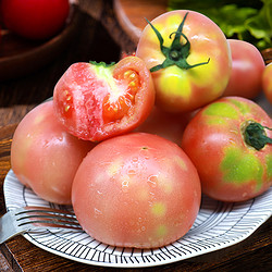 88VIP：哪咤豆豆 青粉番茄生吃西红柿 2.5kg