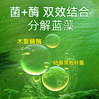 爱卡 蓝藻净蓝藻分解酶分解素鱼虾蟹塘生物除藻剂蓝藻克星药除绿水净水