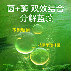 爱卡 蓝藻净蓝藻分解酶分解素鱼虾蟹塘生物除藻剂蓝藻克星药除绿水净水