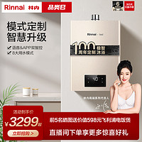 Rinnai 林内 C100W系列 燃气热水器