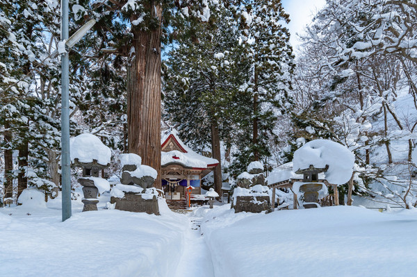 蹲全年低谷囤雪季产品！这次是星野TOMAMU等日本4大口碑度假酒店冬季早鸟预售
