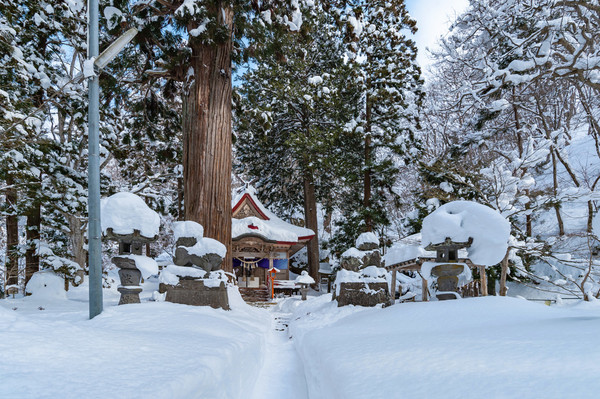 蹲全年低谷囤雪季产品!这次是星野TOMAMU等日本4大口碑度假酒店冬季早鸟预售