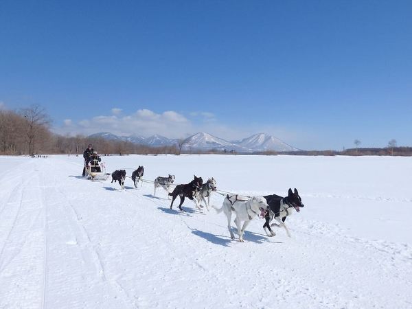 不滑雪也玩得爽歪歪，在顶级度假村住100㎡套房！日本北海道星野集团RISONARE Tomamu 双人间套房1晚套餐