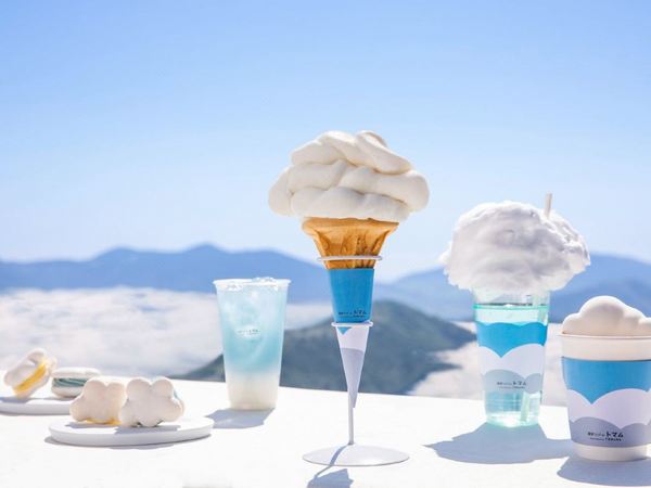 雪季口碑爆款来了!不仅仅是滑雪天堂!日本北海道星野TOMAMU度假村塔娃大酒店 雪季预售 双人间/三人间2晚套餐