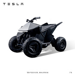 特斯拉 Cyberquad 电动车 20km/h以下