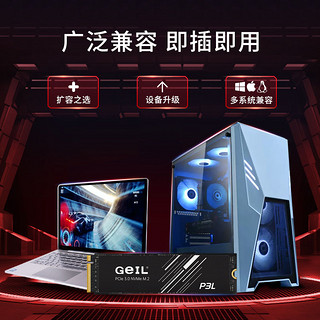 GeIL 金邦 P3L NVMe M.2 固态硬盘 4TB（PCI-E3.0）